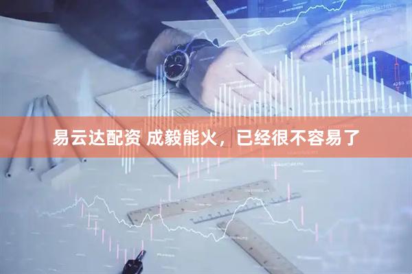 易云达配资 成毅能火，已经很不容易了