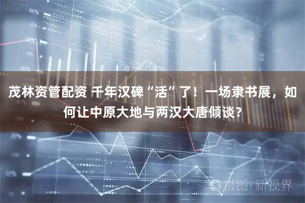 茂林资管配资 千年汉碑“活”了！一场隶书展，如何让中原大地与两汉大唐倾谈？